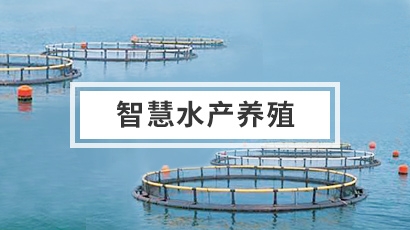 水產(chǎn)養(yǎng)殖水質(zhì)監(jiān)測